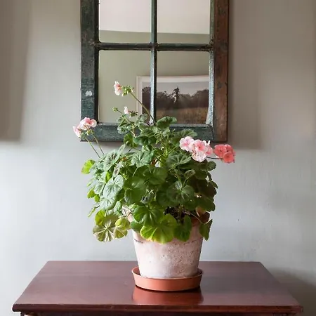 The Stable Yard House At Burtown House & Gardens * את'י