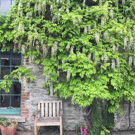 וילה The Stable Yard House At Burtown House & Gardens *