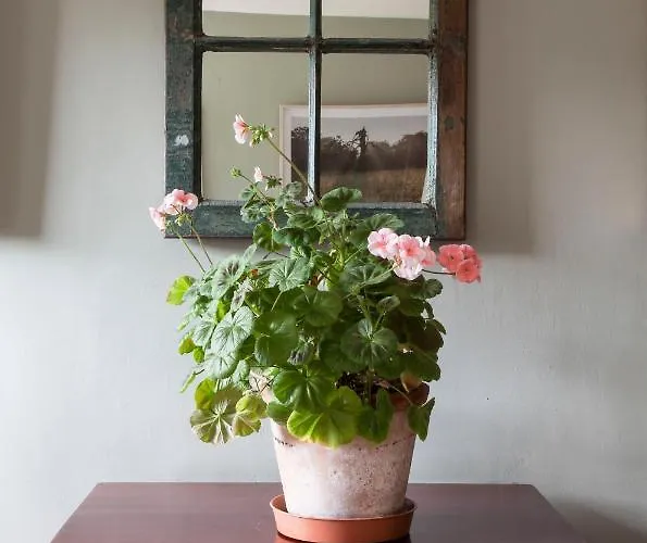 The Stable Yard House At Burtown House & Gardens * アシー