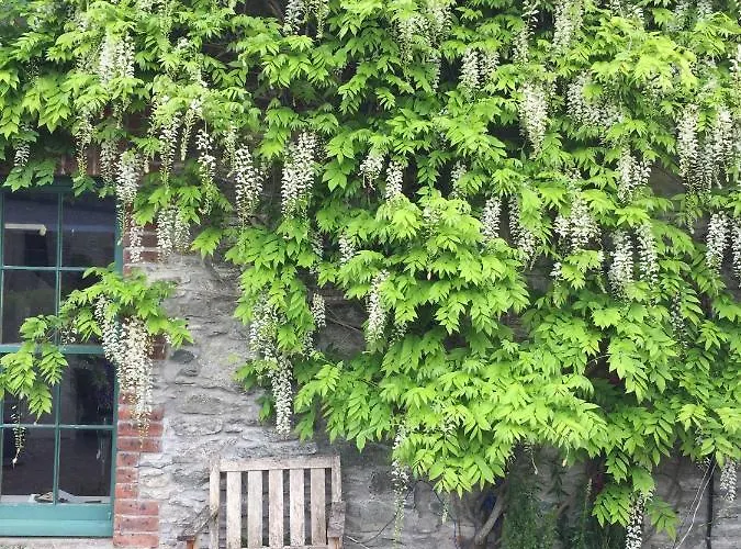 ヴィラ The Stable Yard House At Burtown House & Gardens *